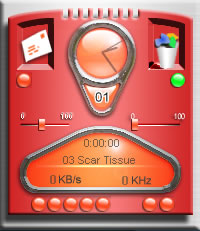 P31 Meters