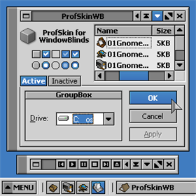 ProfSkinWB