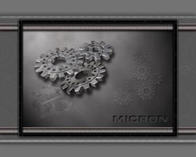 Micron2