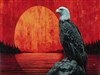 Eagle Sunset