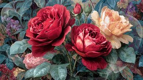 Roses 