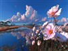Blu Sky