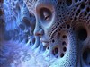 Faces