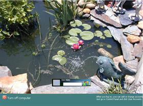 Pond 2002