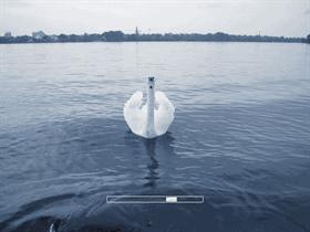 Swan Screen