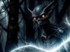 The sinister forest in Halloween