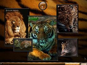 My Favorites- Part 2  BIG CATS!