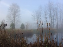 Doc's Autumn Pond