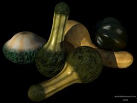 Gourds