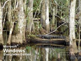 Deep In The Everglades