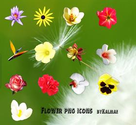 Flower 2.icons