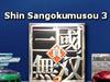 Shin Sangokumusou 3