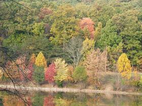 Fall at the creek 
