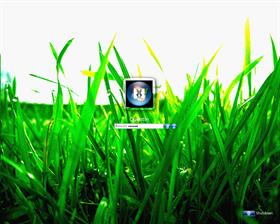 Grass Logonxp
