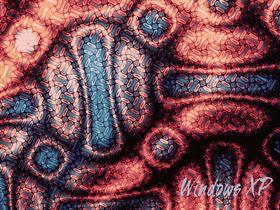 Fractal 17