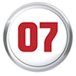 FIFA 07 Icon