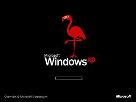 Windows XP Flamingo Edition