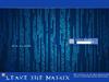 MATRIX 1.0