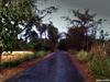 Lonely Road