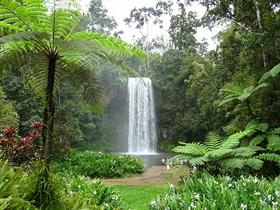 Jungle waterfall