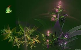 Ferns LSV