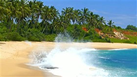 Tropical_Beach_Sea_Waves