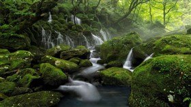 Mossy_FernForest_Waterfalls