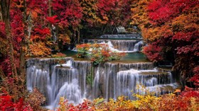 Autumn Forest Falls