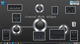 Criminal Multi Widget