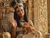 4K The Queens Kat