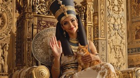4K The Queens Kat