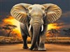 4K African Elephan