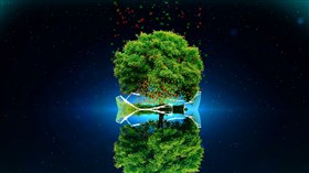 Magic Tree
