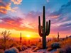 4K Desert Cactus