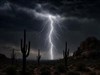 Desert Storm