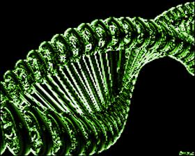 DNA-green