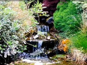 peaceful waterfall