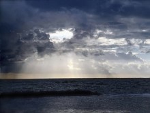 Ocean Beauty
