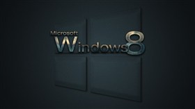 MS Windows 8
