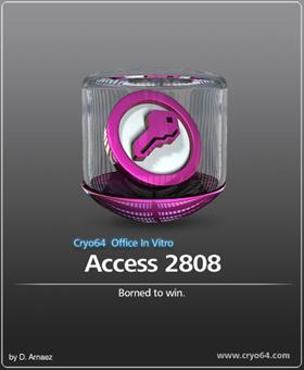 MS Access 2808