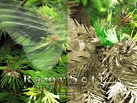 RamySoft Butterfly