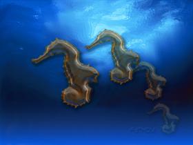 Fathom