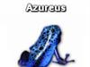 Azureus Blue Frog Icon