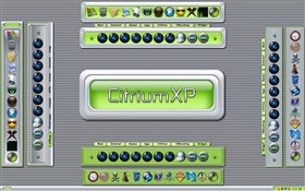 CitriumXP Tabbed & Side Docks