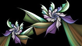 Night Orchids