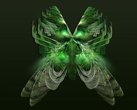 Lunesta Moth