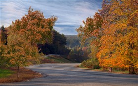 Autumn Roadside