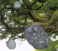 Bouncing Rocks