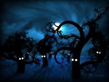 Full Moon in The Midnight Forest