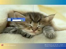 Kitty